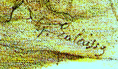 Signature 2 unknown 